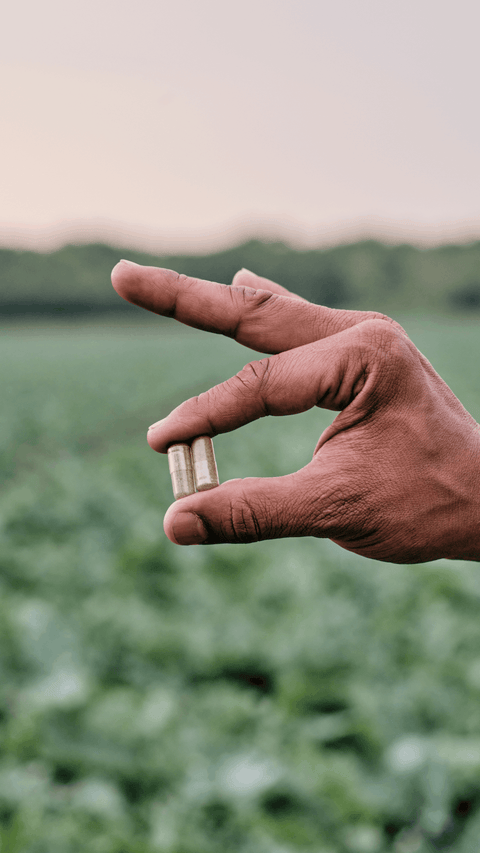 Proteggiamo la bontà vegetale all'interno delle nostre capsule a base vegetale 